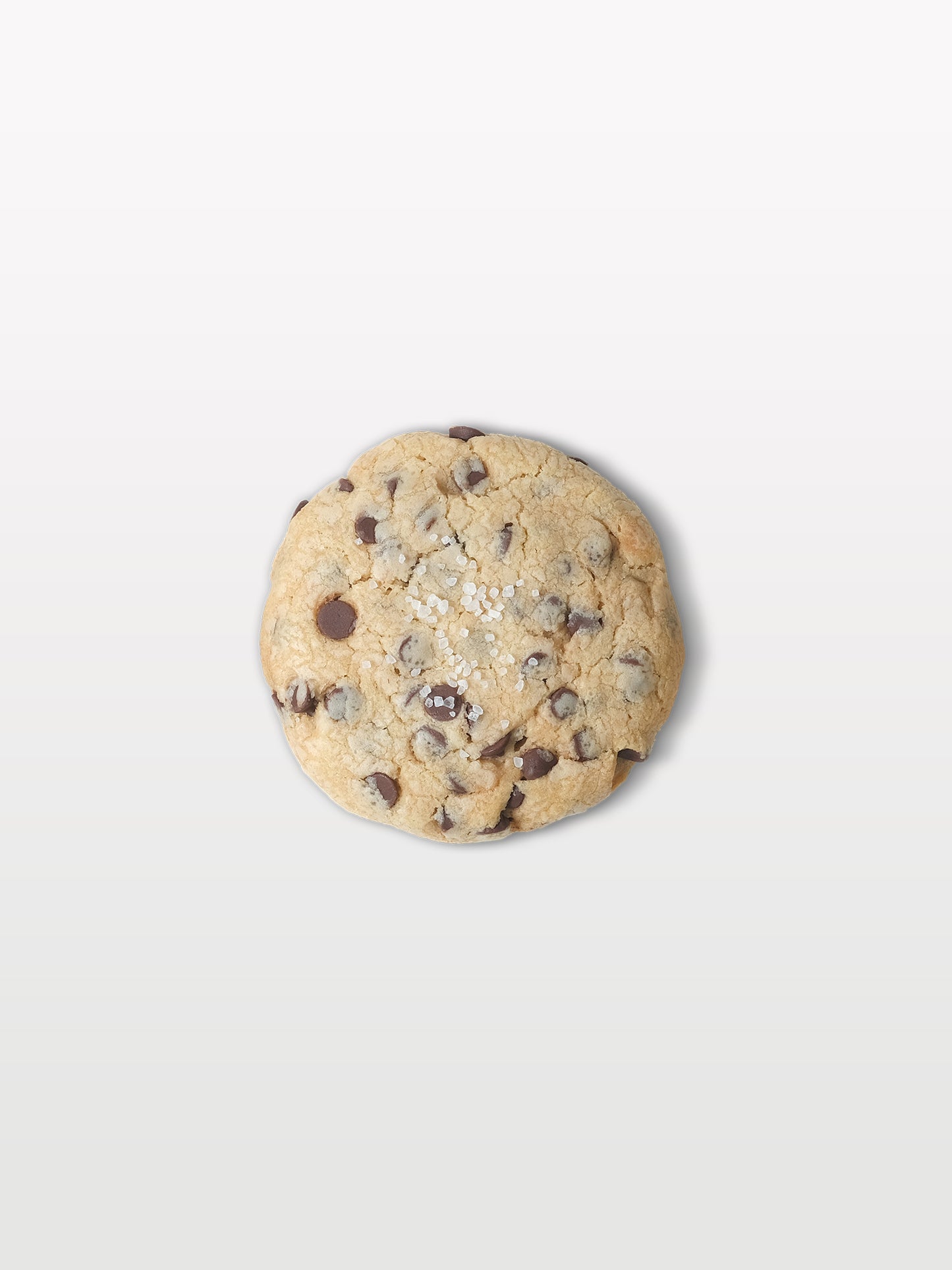 Seasalt Chocolate Cookie (Per Piece)